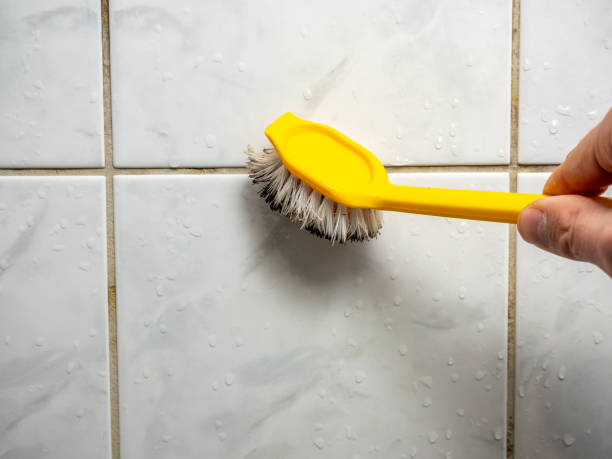 Best Preventive Mold Services in Fresno, TX